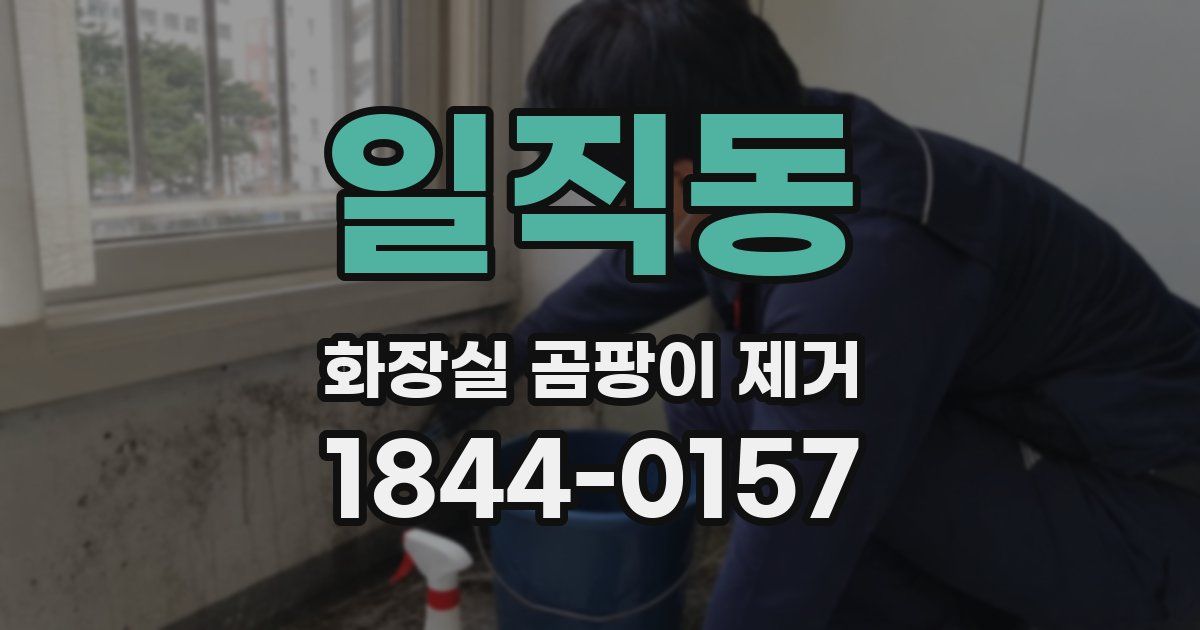 일직동 화장실 곰팡이 제거