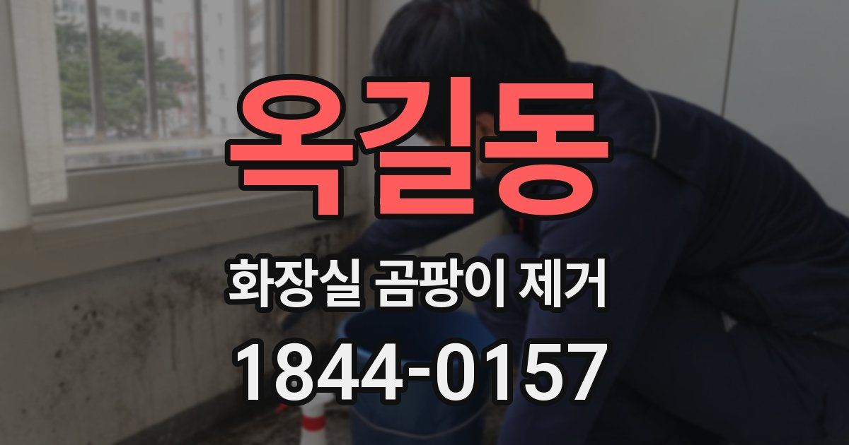 옥길동 화장실 곰팡이 제거