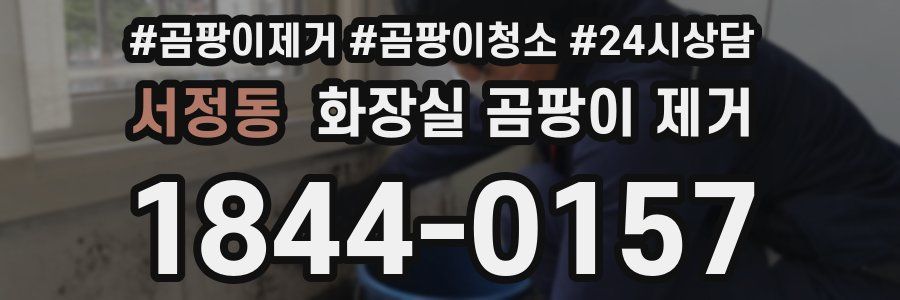 서정동 화장실 곰팡이 제거