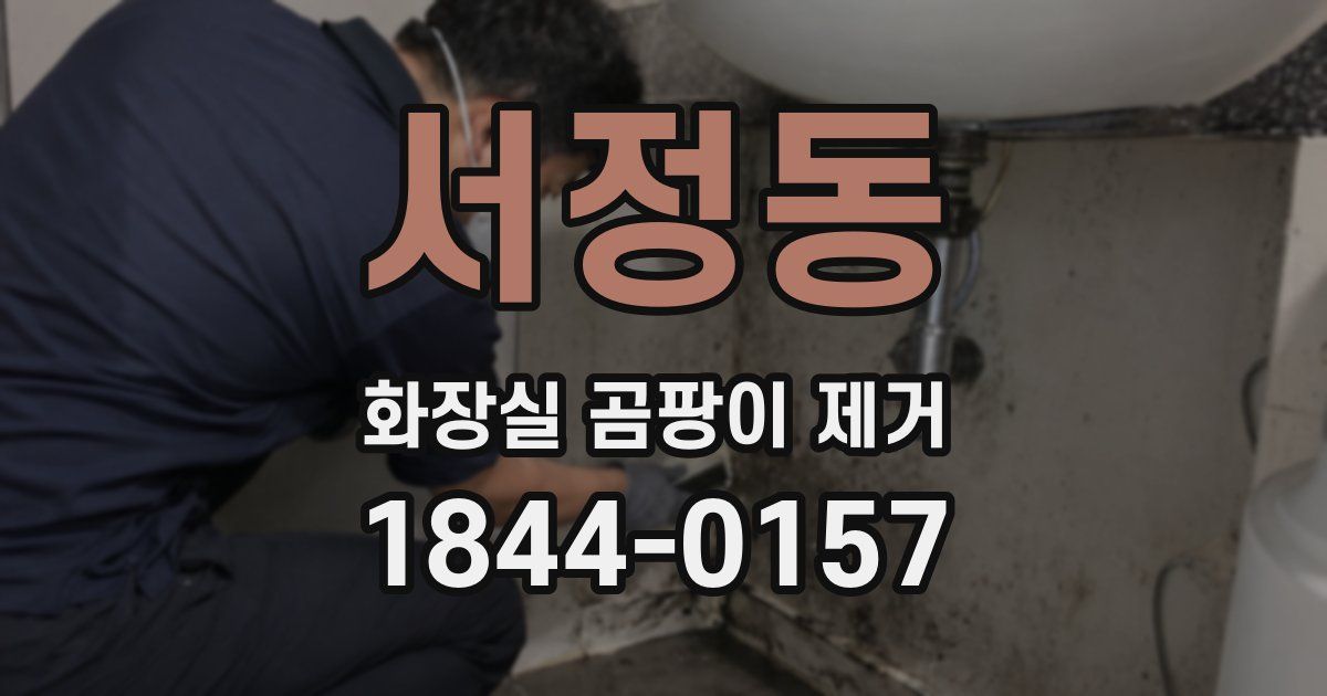 서정동 화장실 곰팡이 제거