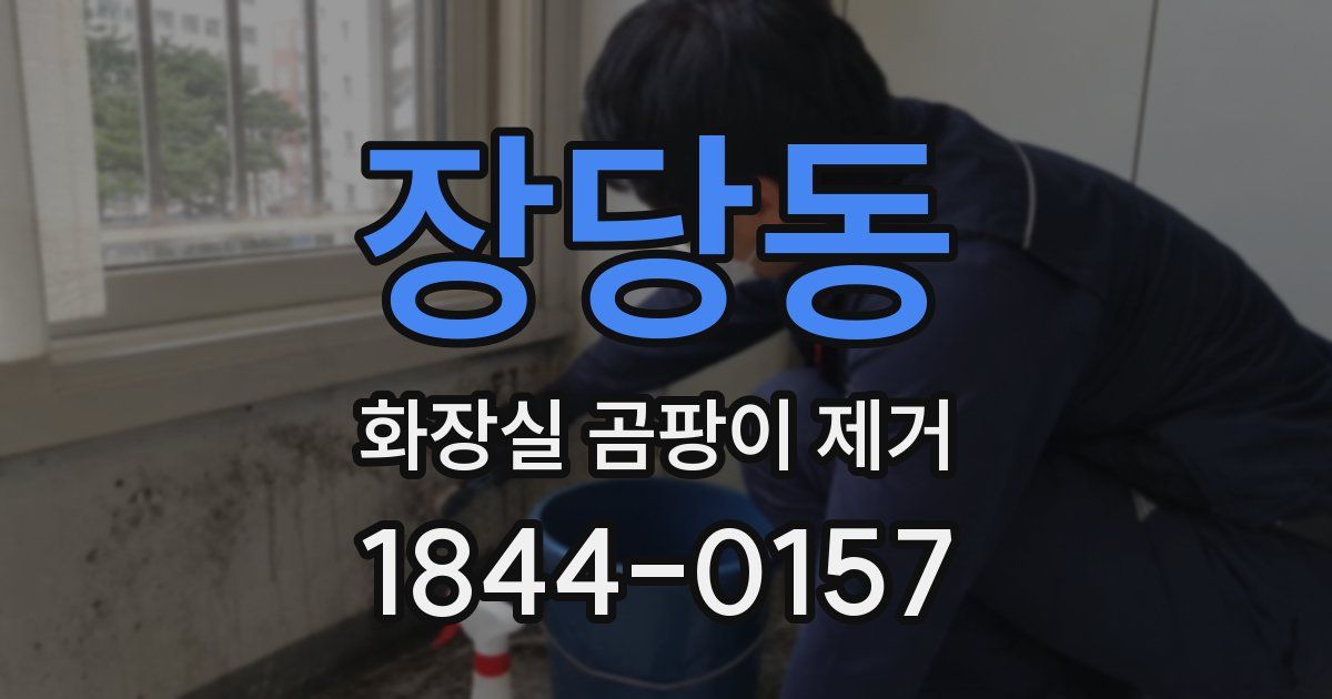 장당동 화장실 곰팡이 제거