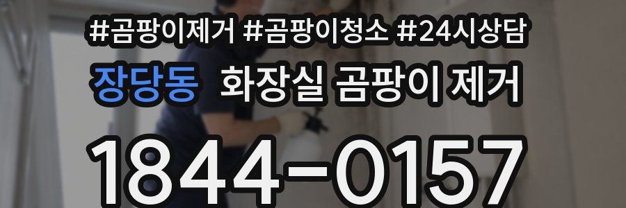 장당동 화장실 곰팡이 제거