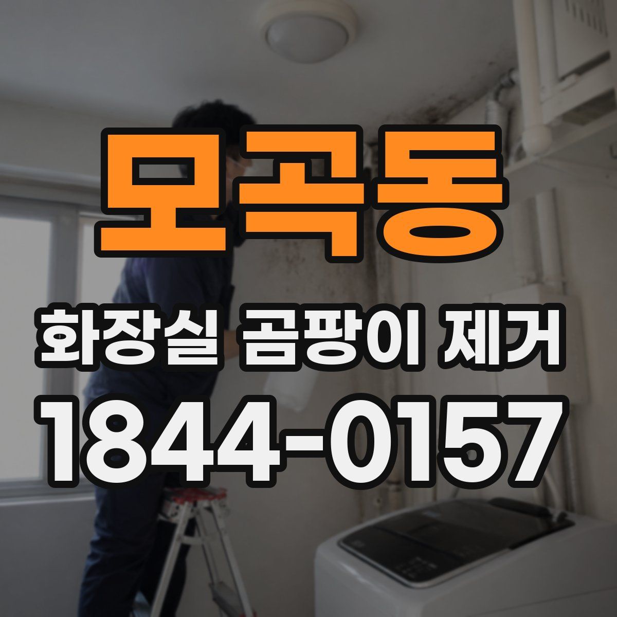 모곡동 화장실 곰팡이 제거