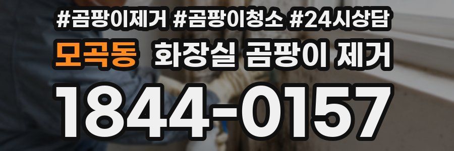 모곡동 화장실 곰팡이 제거