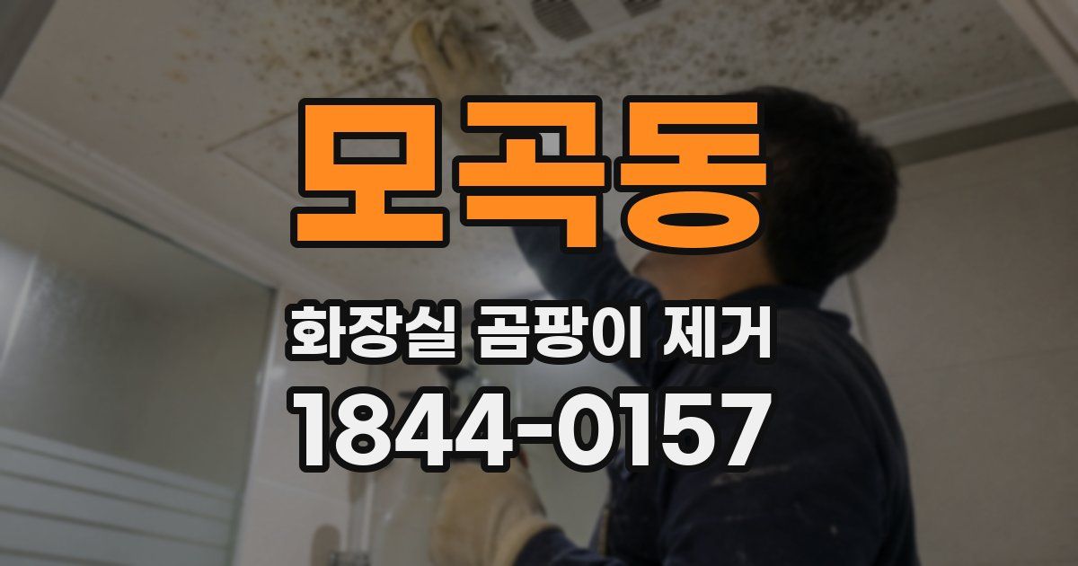 모곡동 화장실 곰팡이 제거