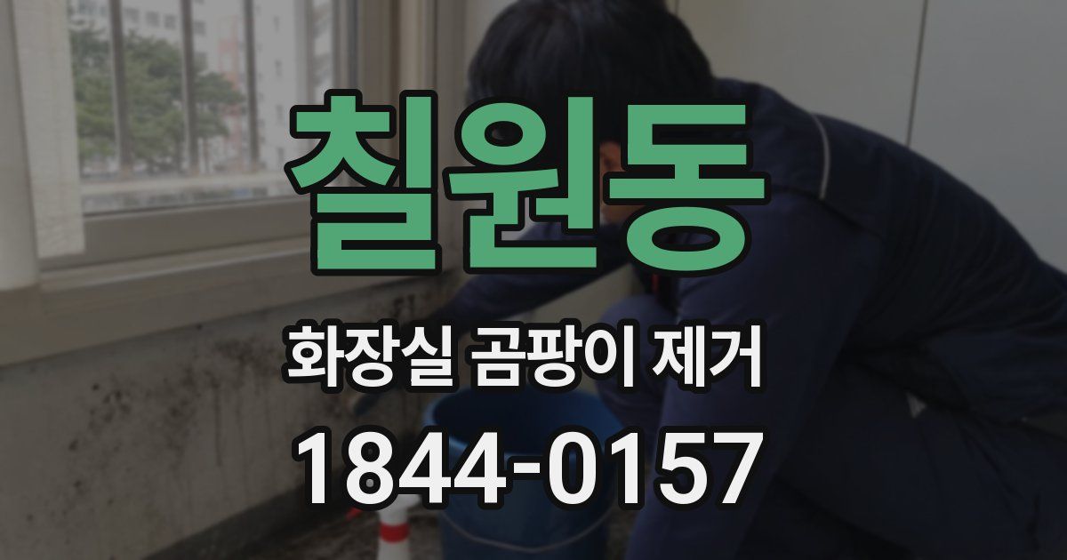 칠원동 화장실 곰팡이 제거