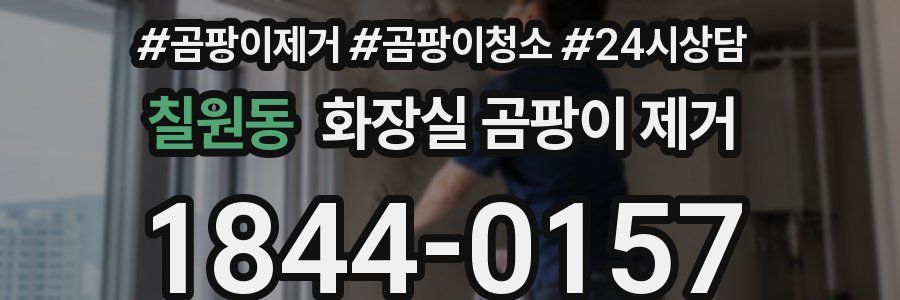 칠원동 화장실 곰팡이 제거