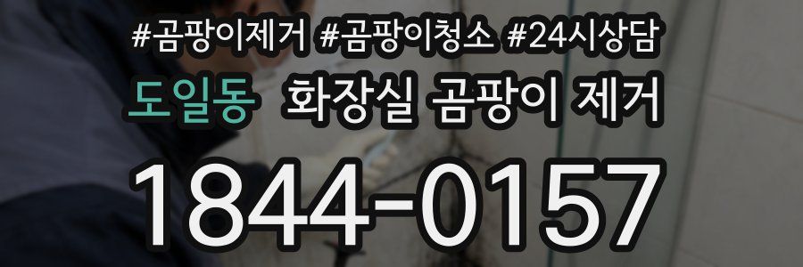 도일동 화장실 곰팡이 제거