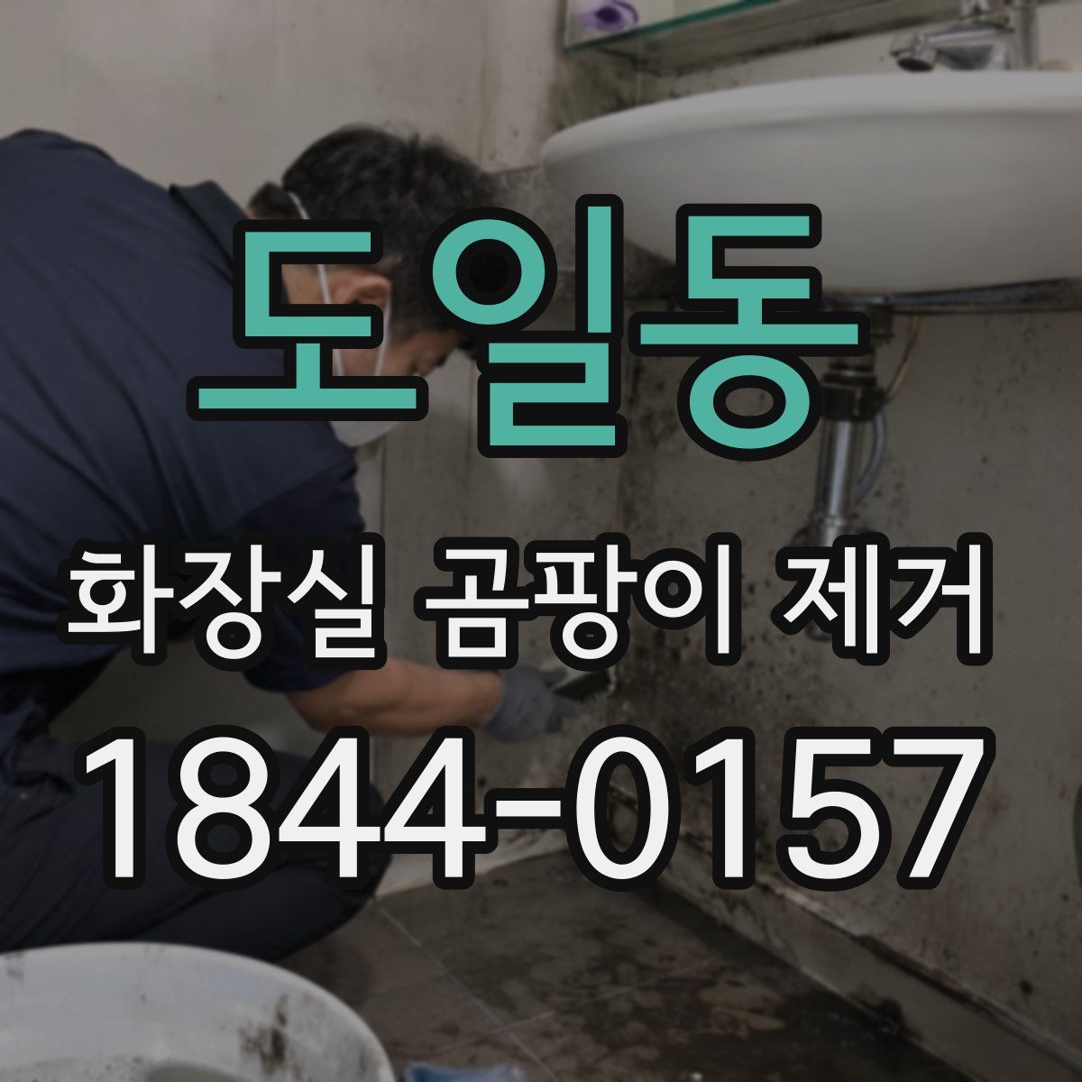 도일동 화장실 곰팡이 제거