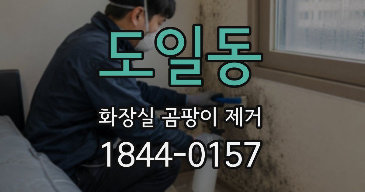 도일동 화장실 곰팡이 제거