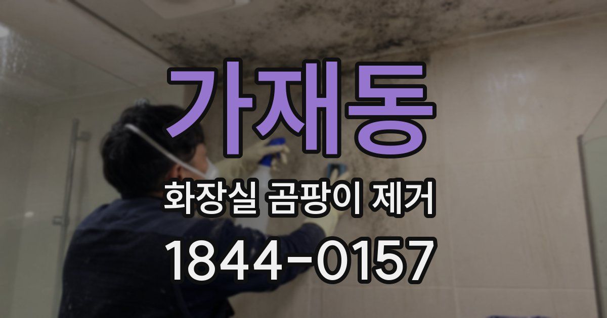 가재동 화장실 곰팡이 제거