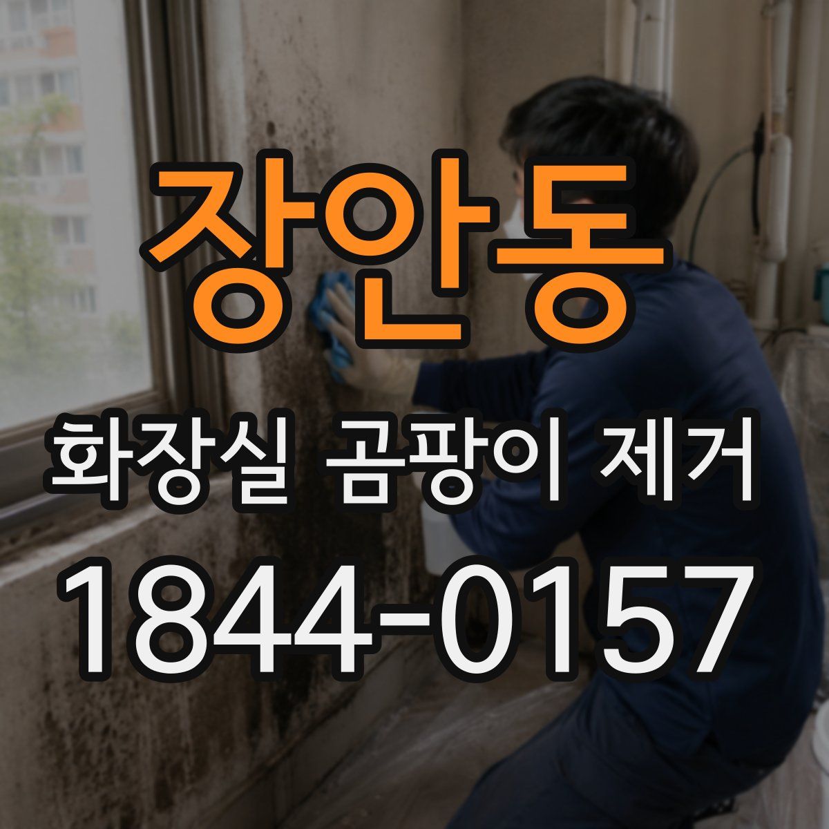 장안동 화장실 곰팡이 제거