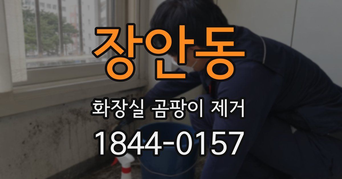 장안동 화장실 곰팡이 제거