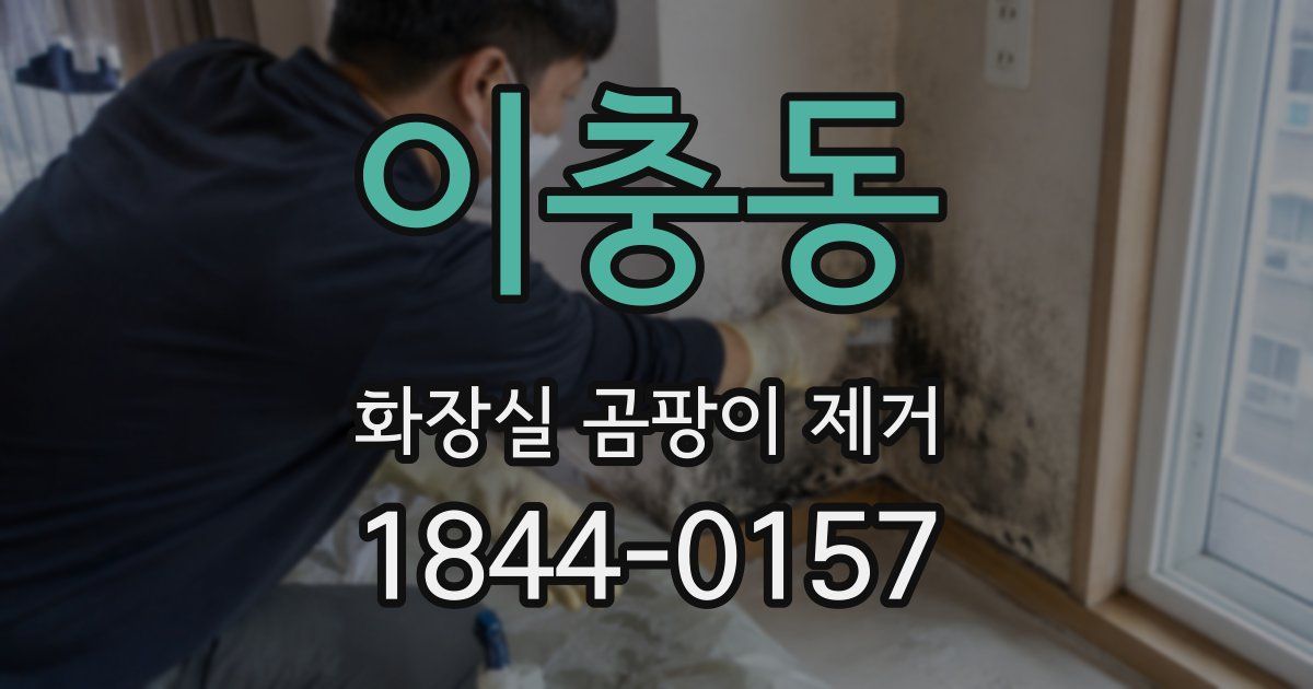 이충동 화장실 곰팡이 제거
