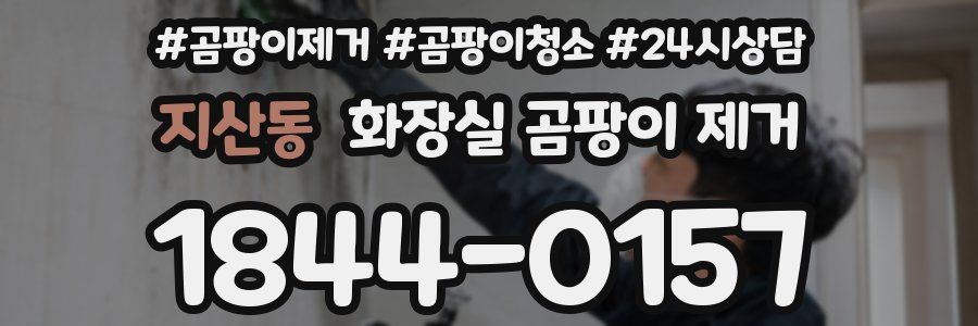 지산동 화장실 곰팡이 제거