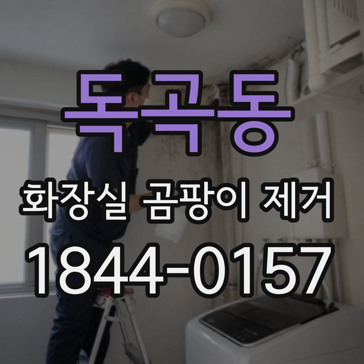 독곡동 화장실 곰팡이 제거