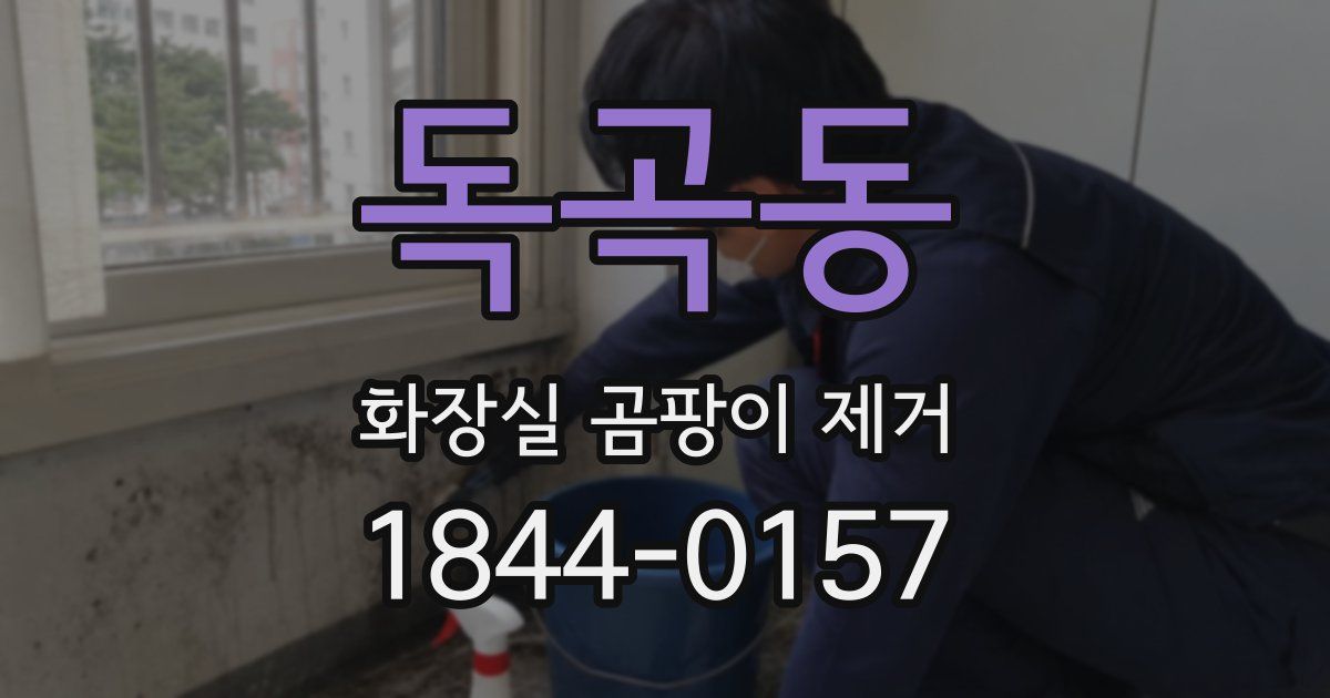 독곡동 화장실 곰팡이 제거