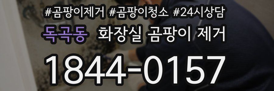 독곡동 화장실 곰팡이 제거