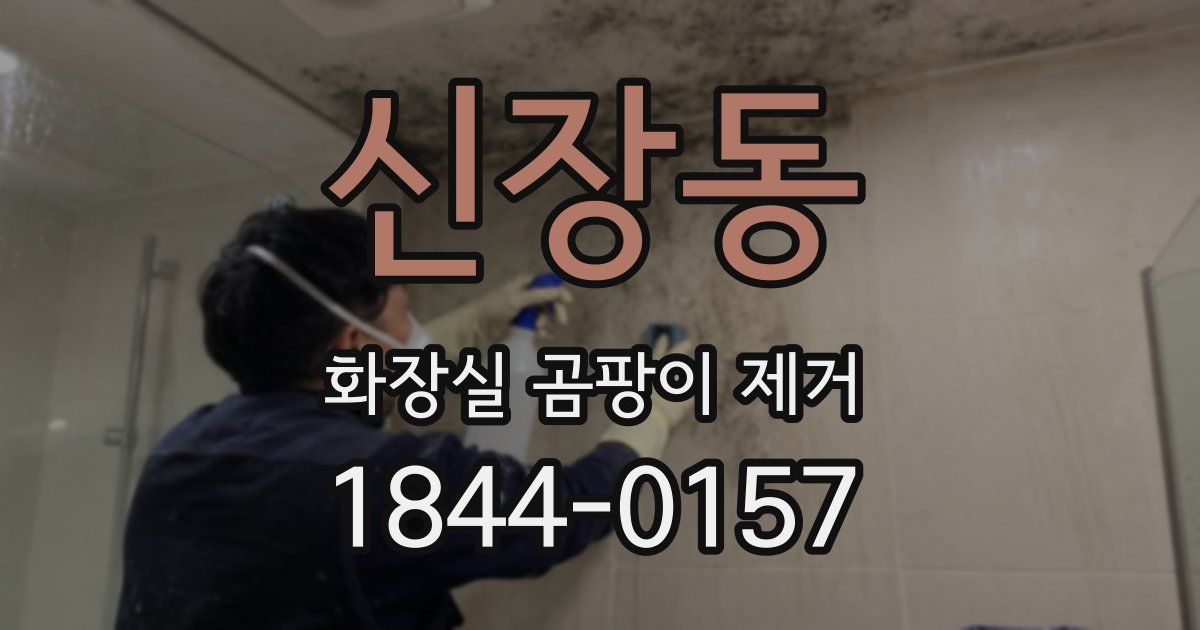 신장동 화장실 곰팡이 제거