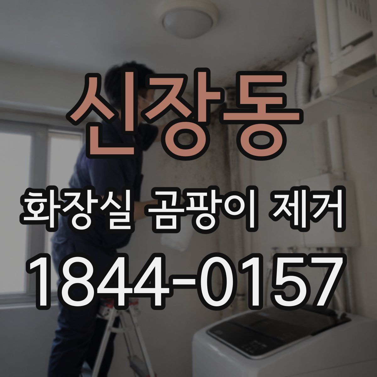 신장동 화장실 곰팡이 제거