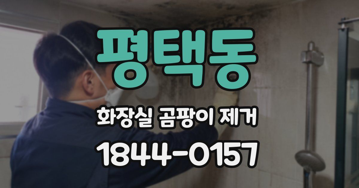 평택동 화장실 곰팡이 제거