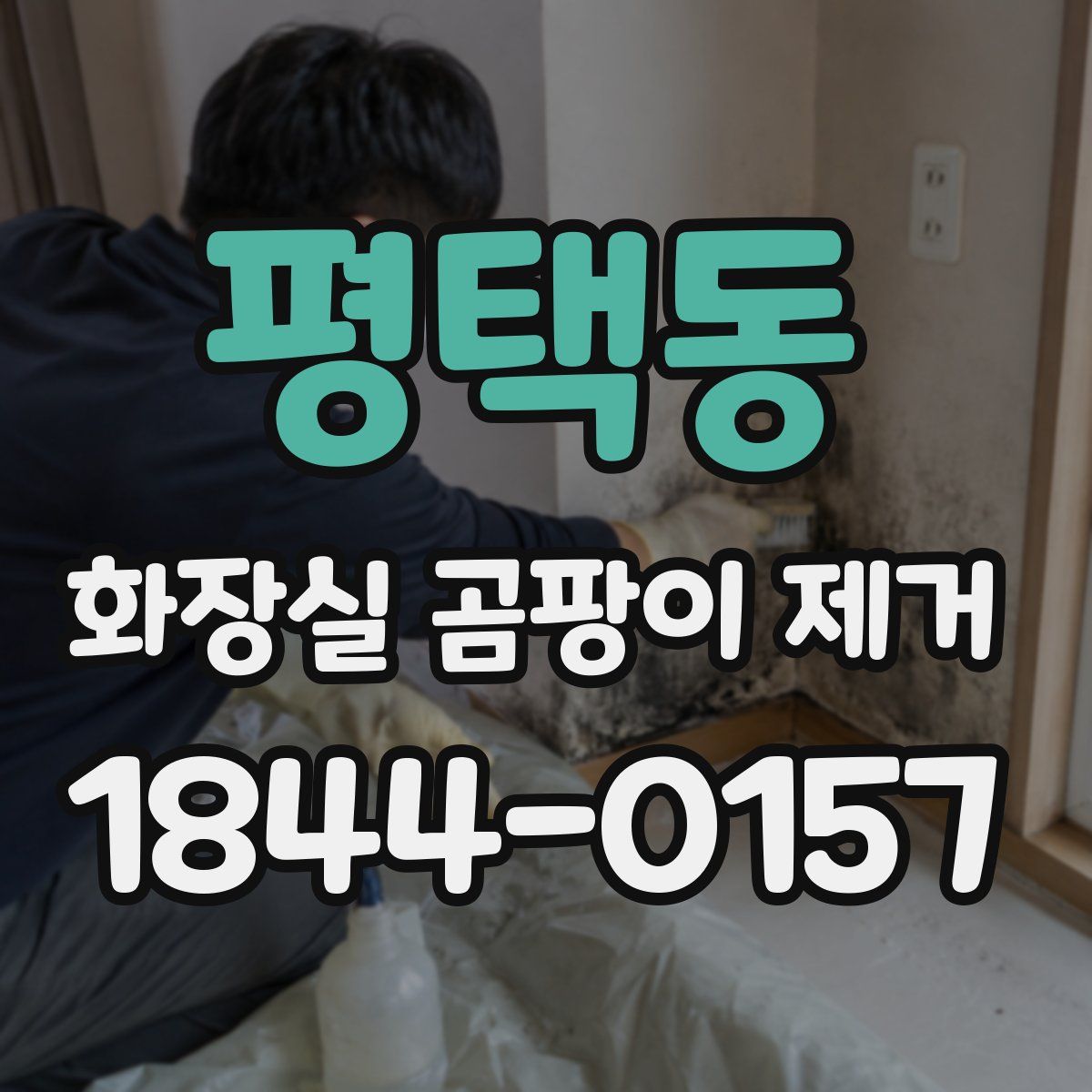 평택동 화장실 곰팡이 제거