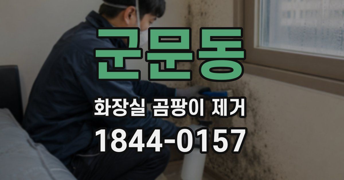 군문동 화장실 곰팡이 제거