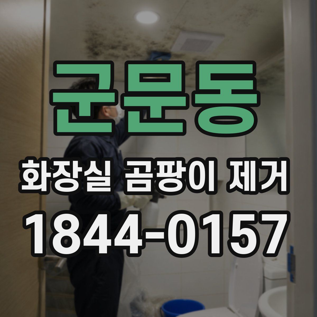 군문동 화장실 곰팡이 제거