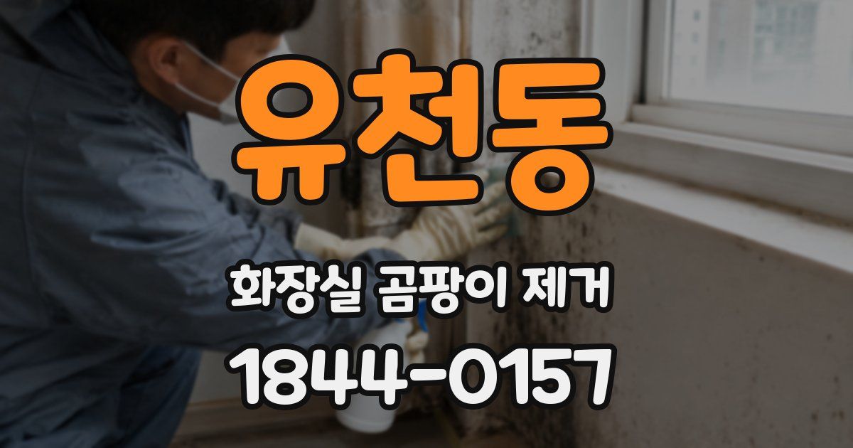 유천동 화장실 곰팡이 제거