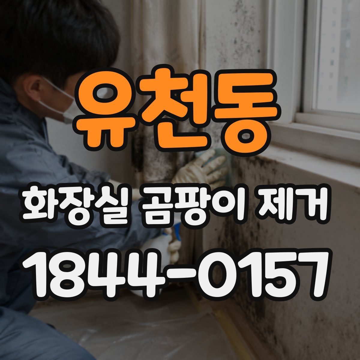 유천동 화장실 곰팡이 제거