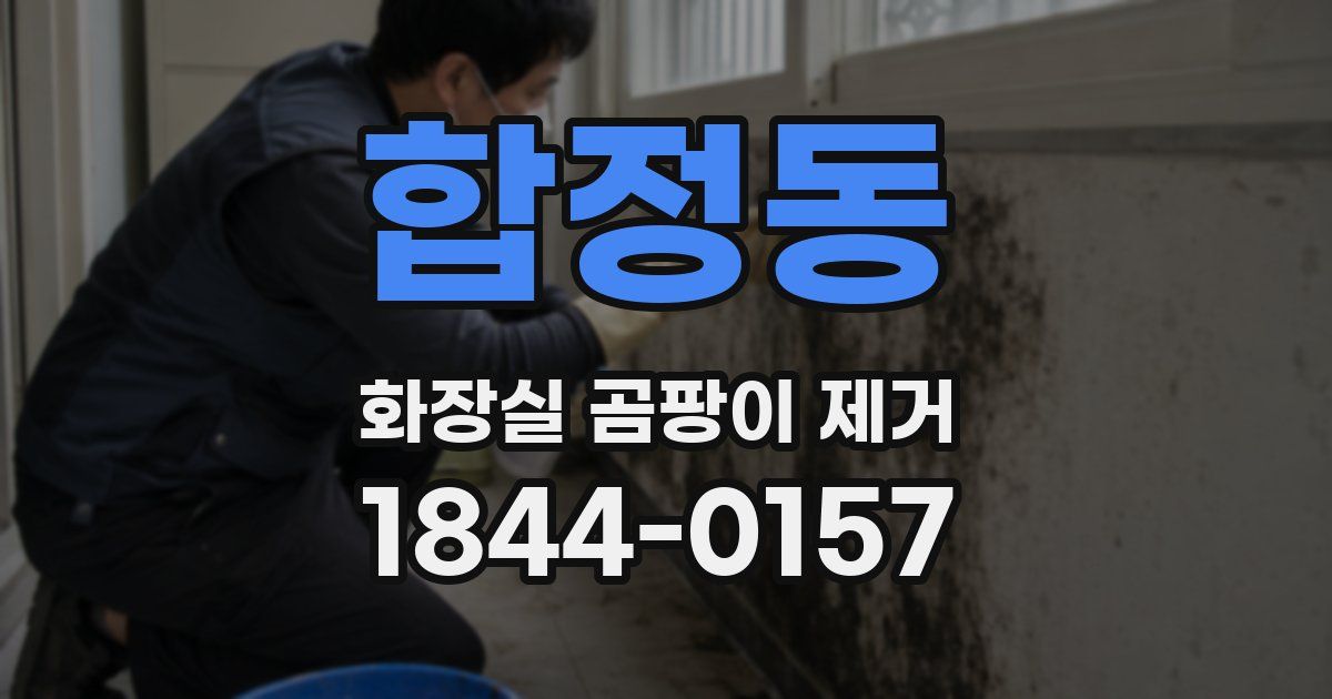 합정동 화장실 곰팡이 제거