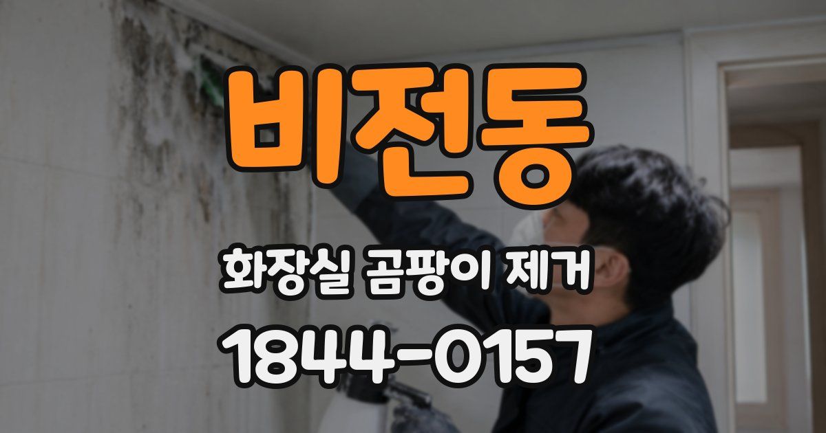 비전동 화장실 곰팡이 제거