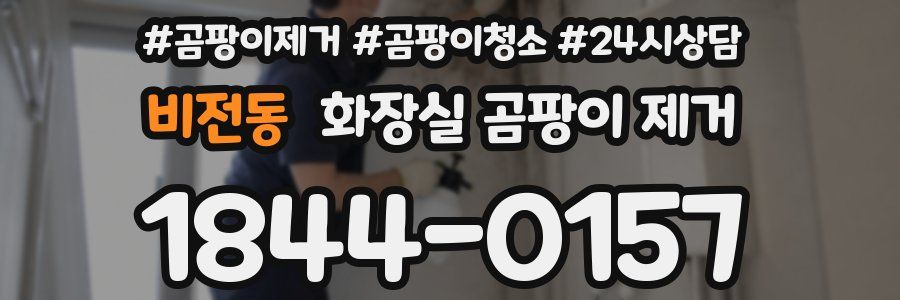비전동 화장실 곰팡이 제거