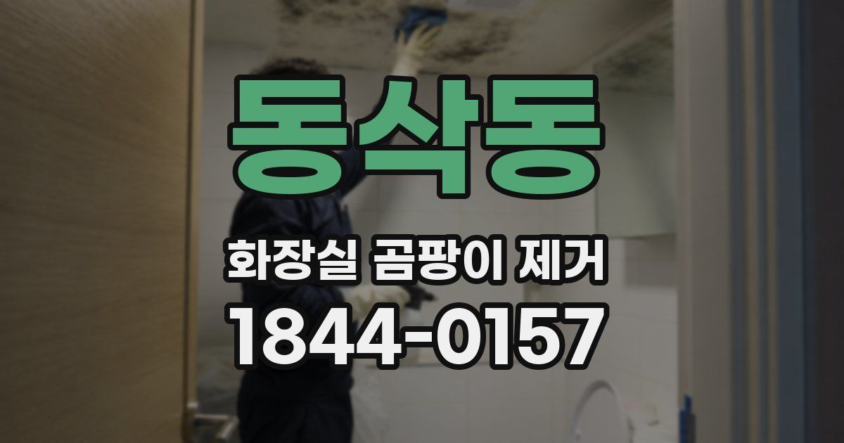 동삭동 화장실 곰팡이 제거