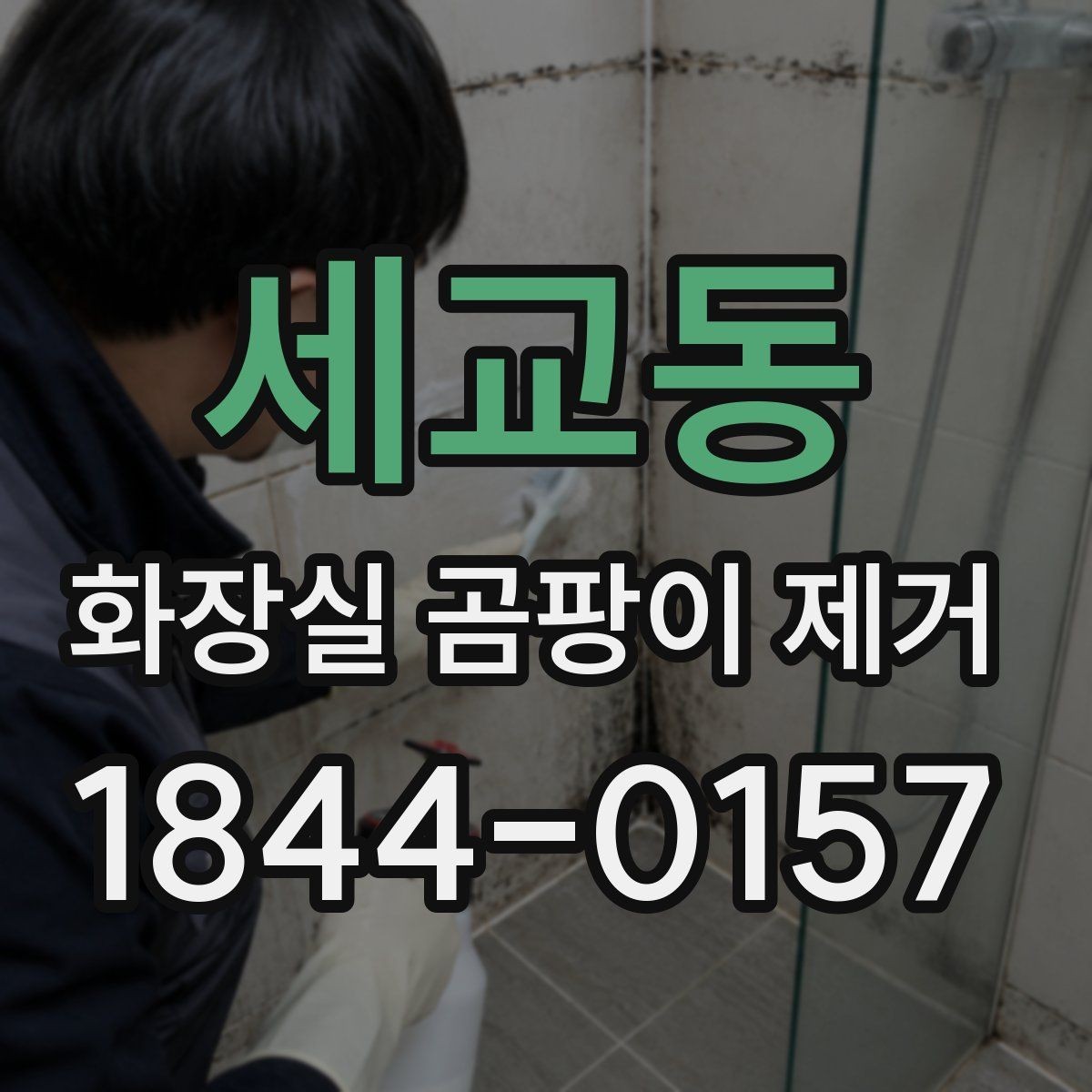 세교동 화장실 곰팡이 제거 후 건조 시간을 충분히 두어야 하는 이유