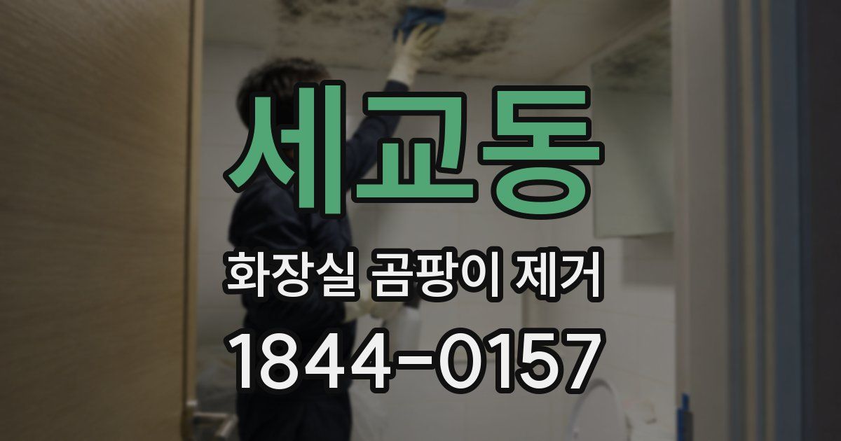 세교동 화장실 곰팡이 제거