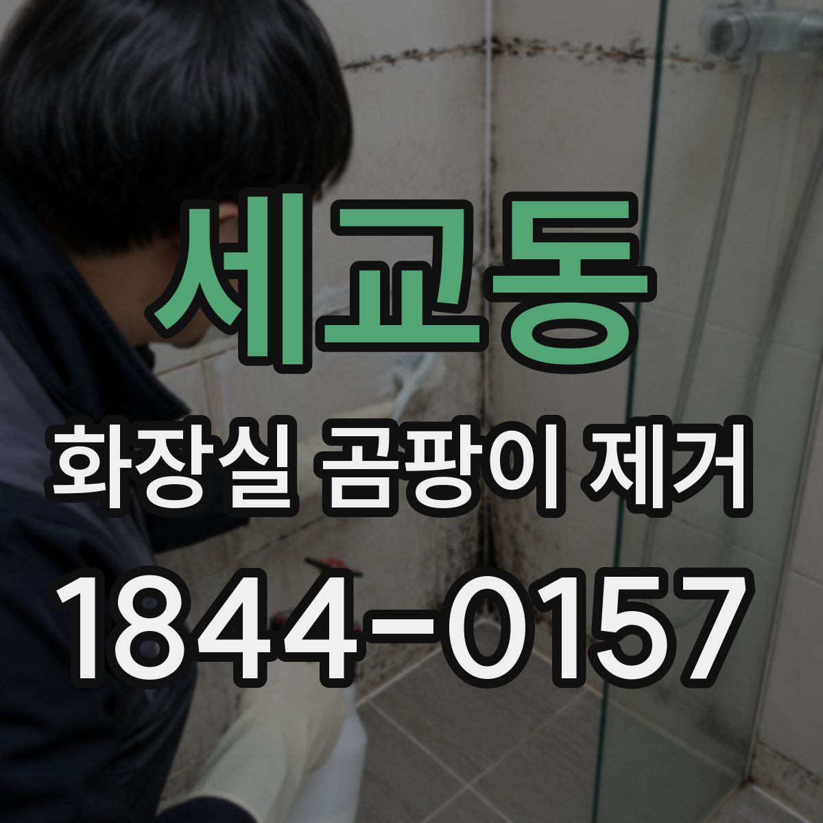 세교동 화장실 곰팡이 제거