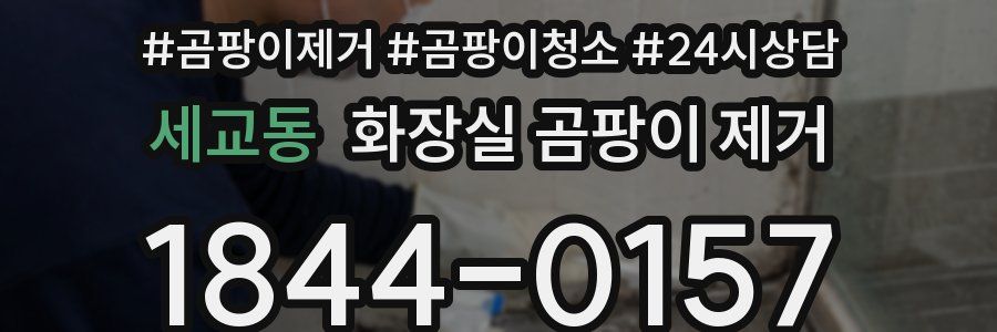 세교동 화장실 곰팡이 제거