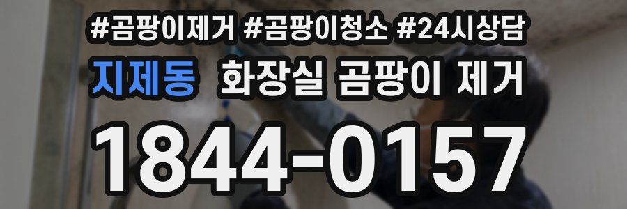 지제동 화장실 곰팡이 제거