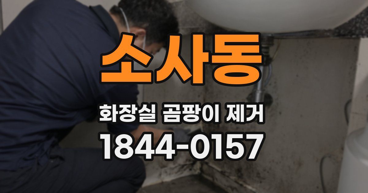 소사동 화장실 곰팡이 제거