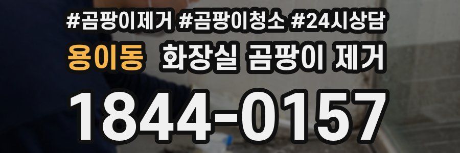 용이동 화장실 곰팡이 제거