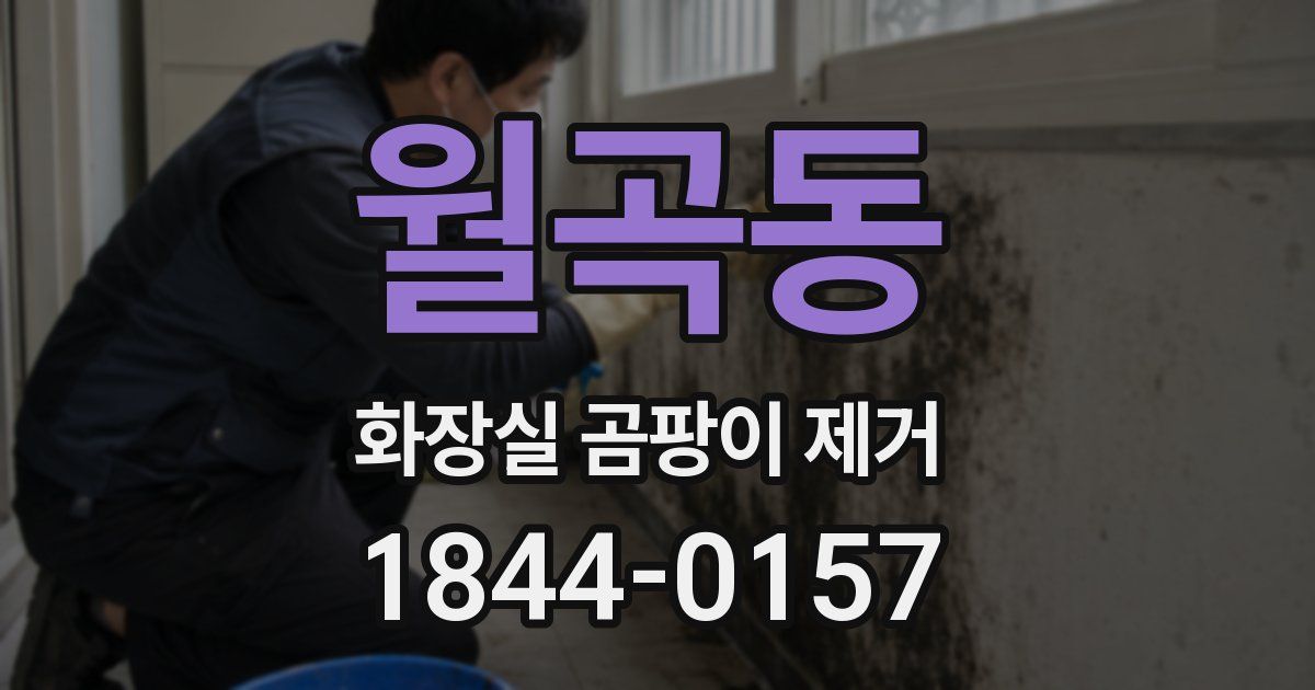 월곡동 화장실 곰팡이 제거
