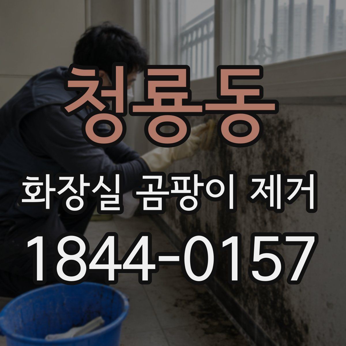 청룡동 화장실 곰팡이 제거 청소와 예방을 함께 보는 욕실 관리법