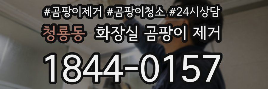 청룡동 화장실 곰팡이 제거