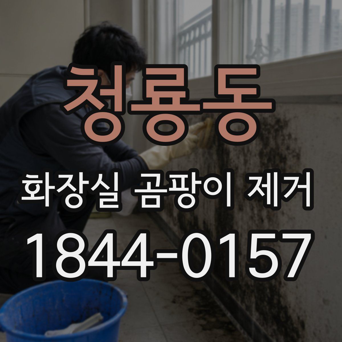 청룡동 화장실 곰팡이 제거