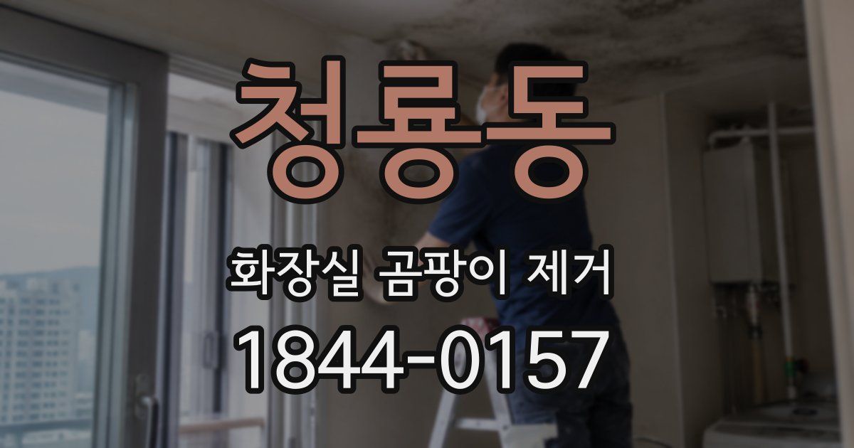 청룡동 화장실 곰팡이 제거