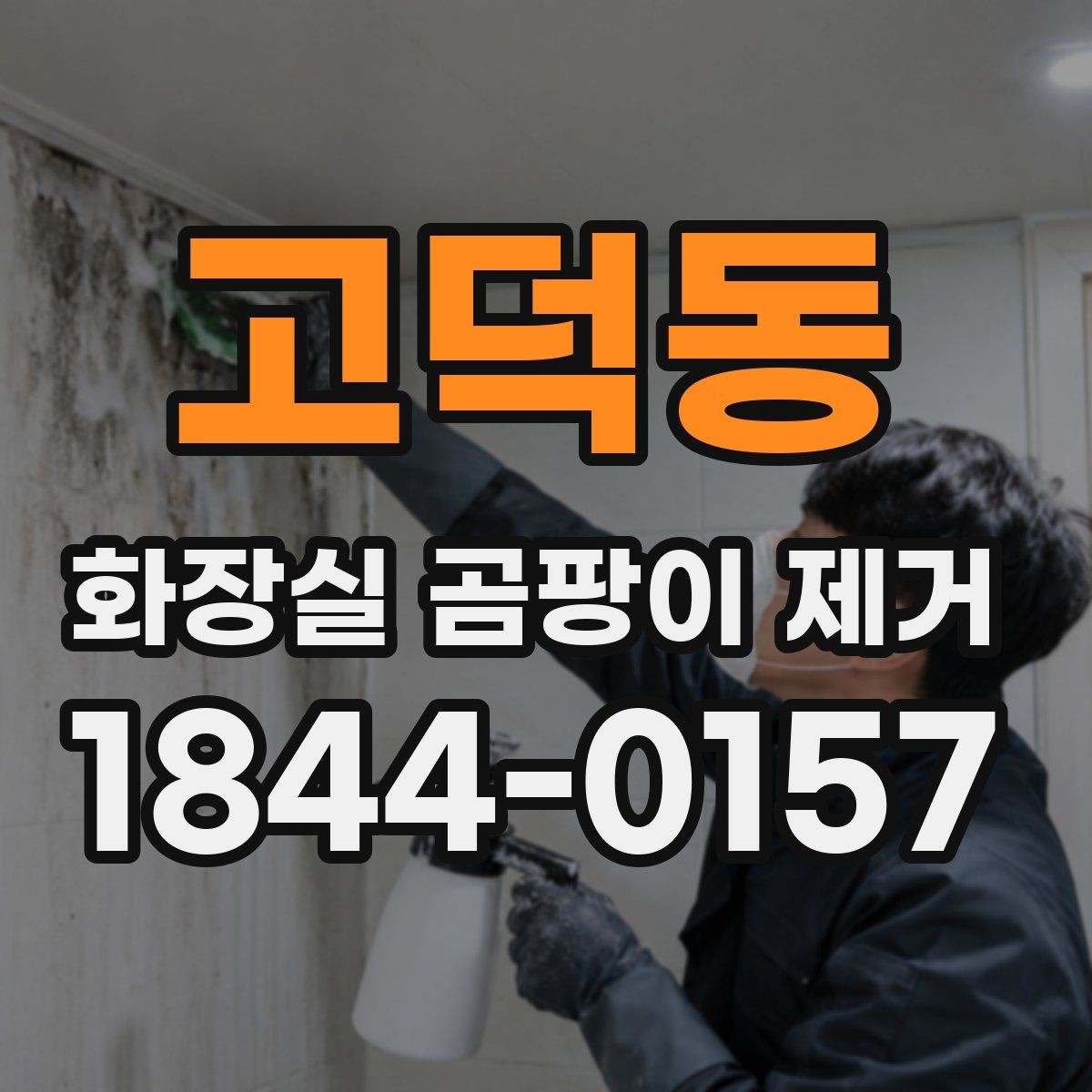 고덕동 화장실 곰팡이 제거 뒤 남은 흔적이 재오염인지 보는 법