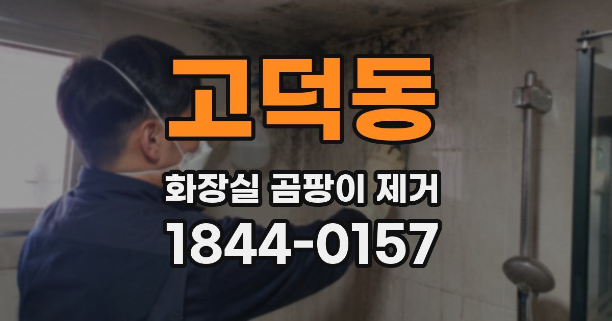 고덕동 화장실 곰팡이 제거