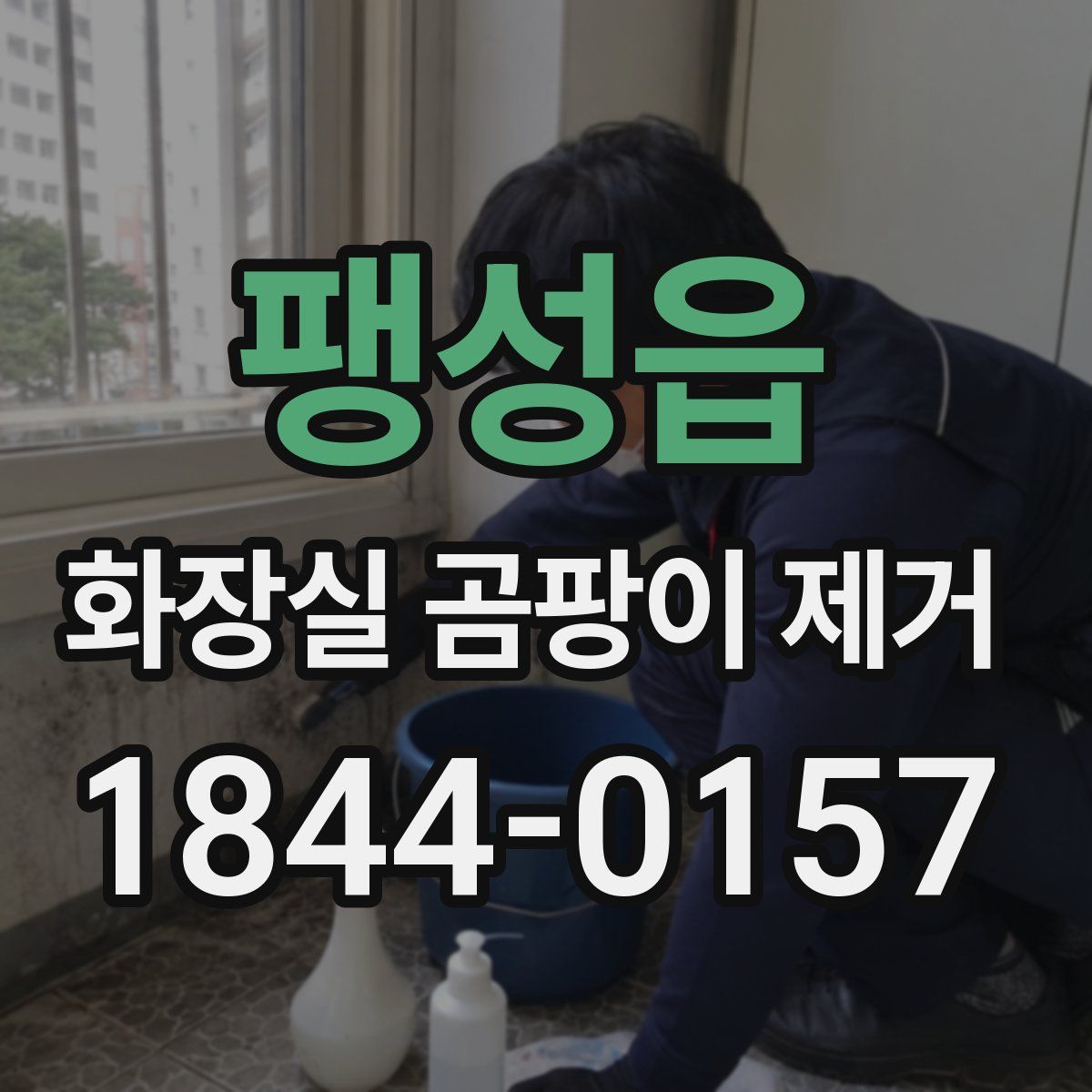 팽성읍 화장실 곰팡이 제거