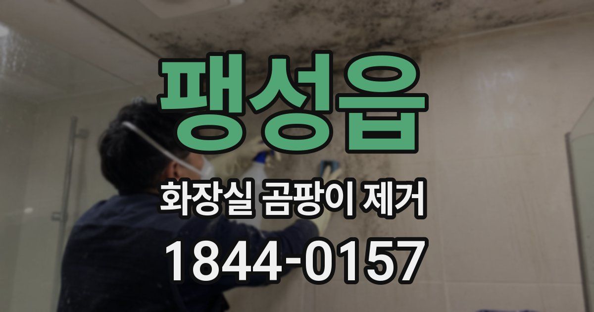 팽성읍 화장실 곰팡이 제거